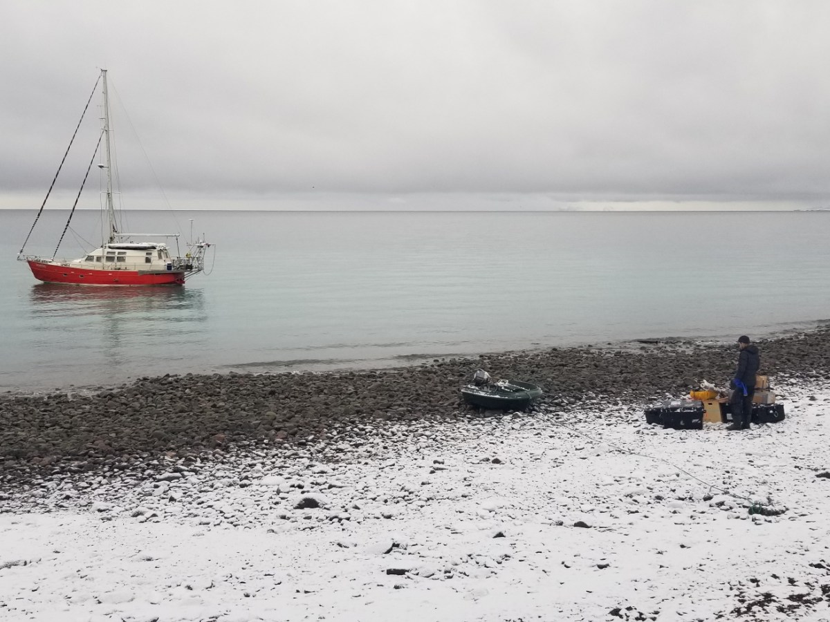 2020 Vagabond Cruise